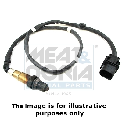 Oxygen Sensor